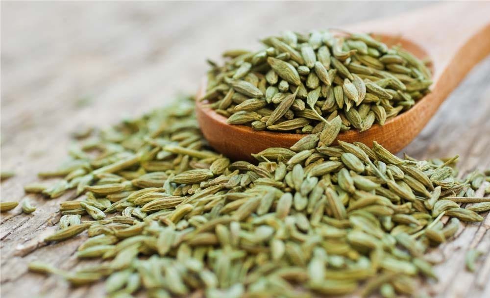 Fennel Seeds