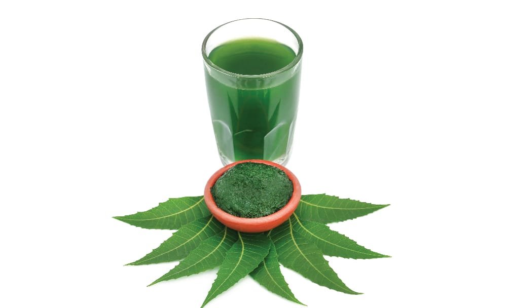 neem for detox