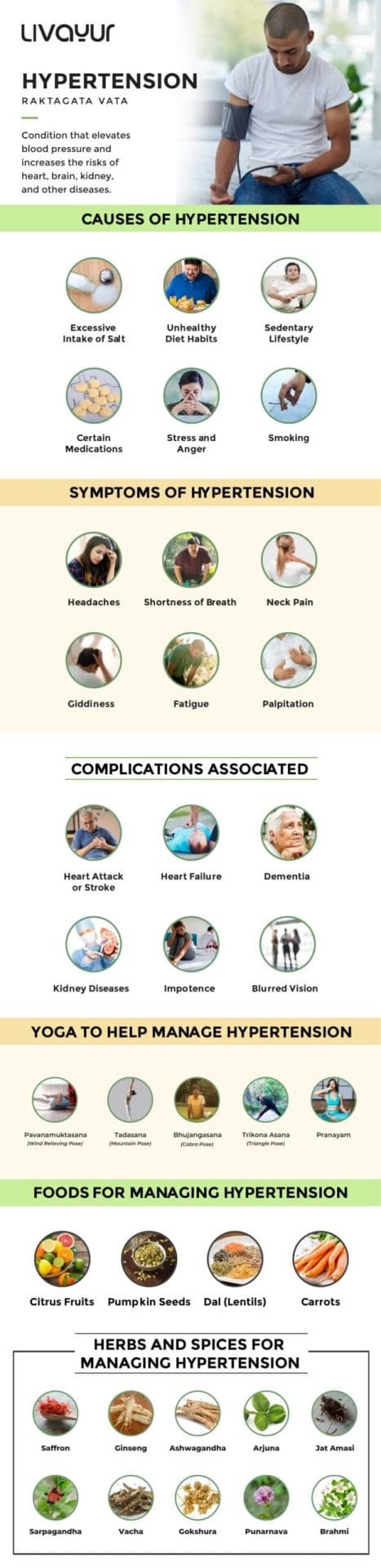Hypertension Infographic Feedback addressed 1 1 scaled