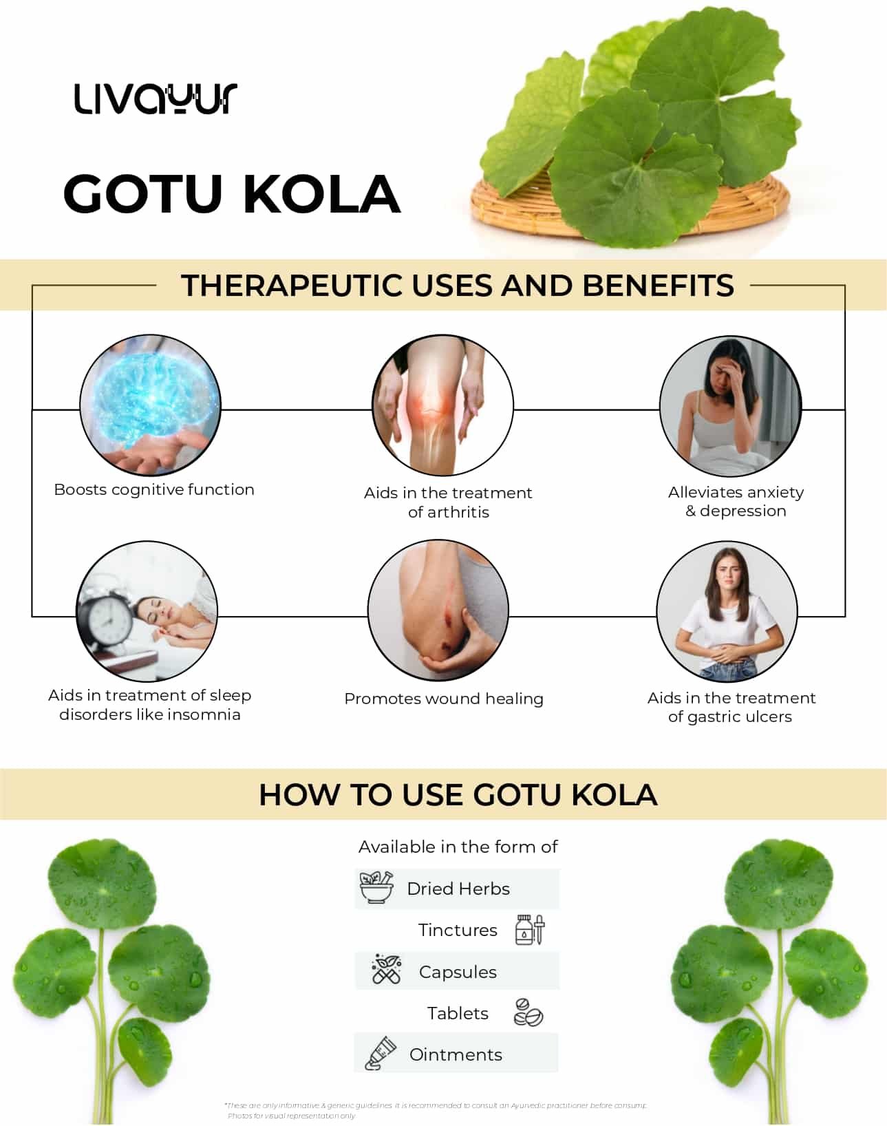 Gotu Kola
