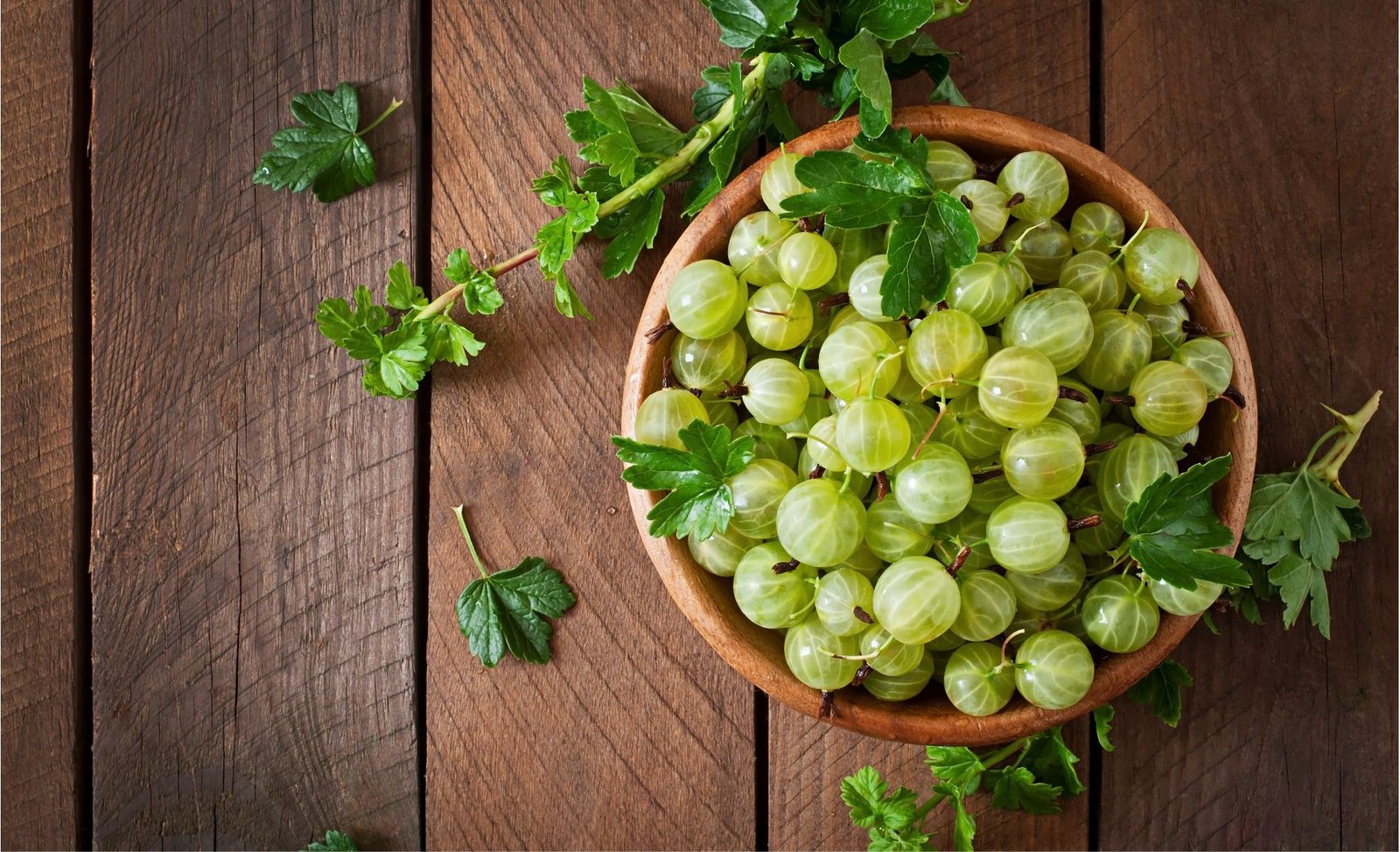 herbal remedies - gastrointestinal disease