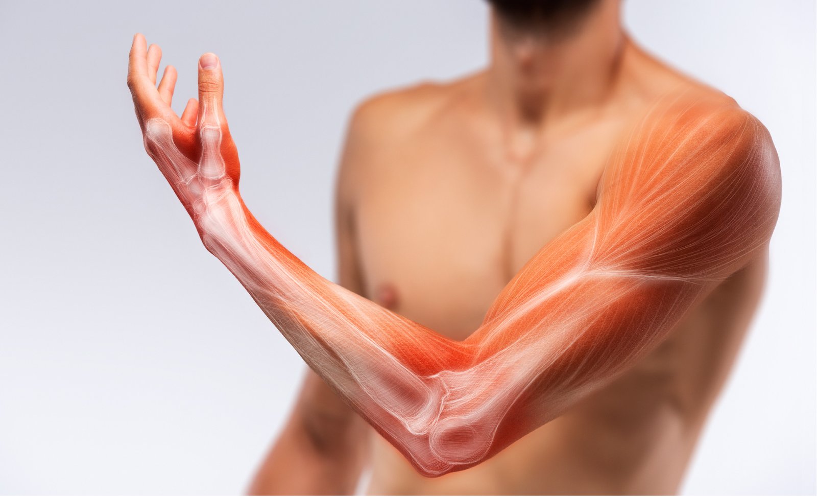 benefits of protein - builds and repairs tissues