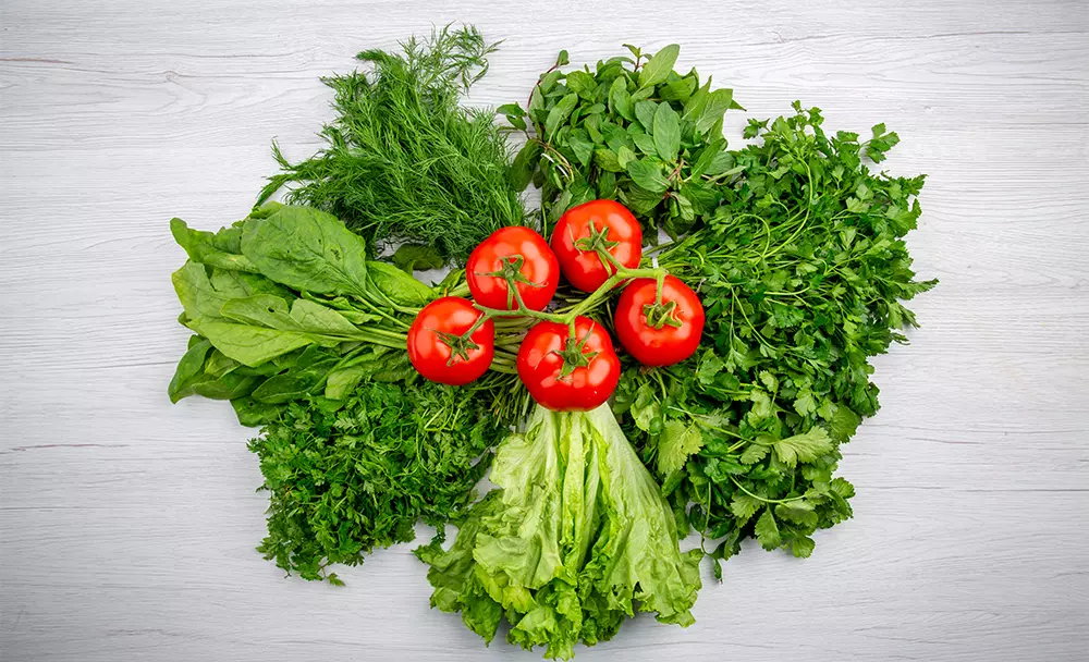 best sources of magnesium