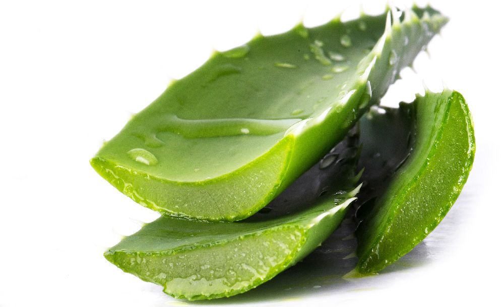 aloe vera benefits - livayur