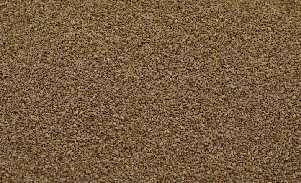 ajwain benefits - livayur