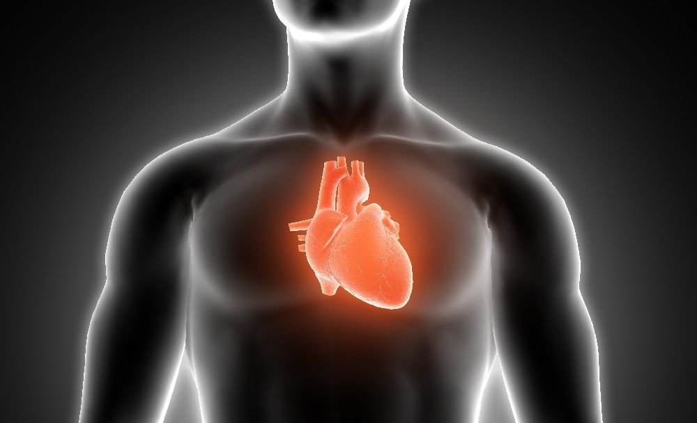 supports cardiovascular health - brahmi vati benefits