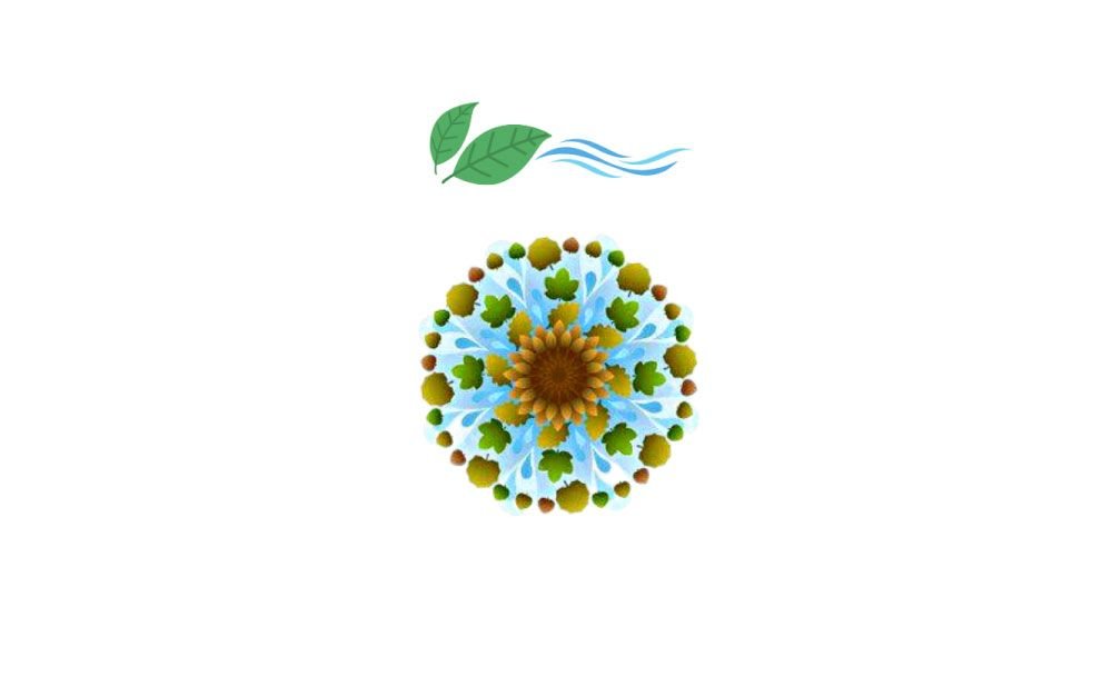what is vata dosha - livayur