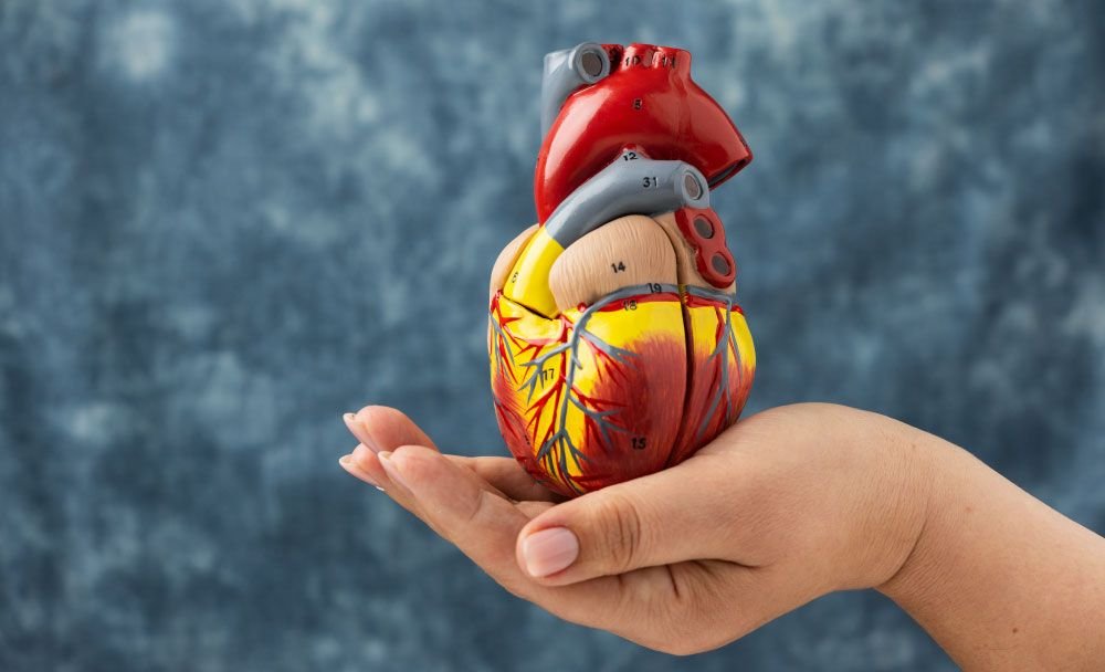 cholesterol reduction - green tea benefits