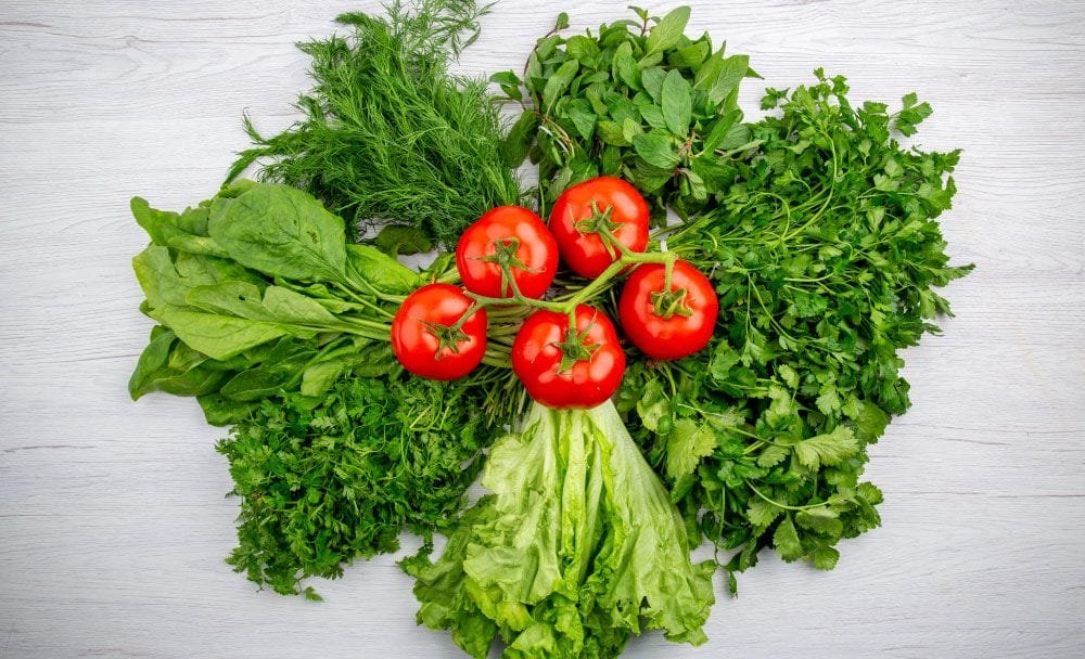 menorrhagia treatment - dietary modifications