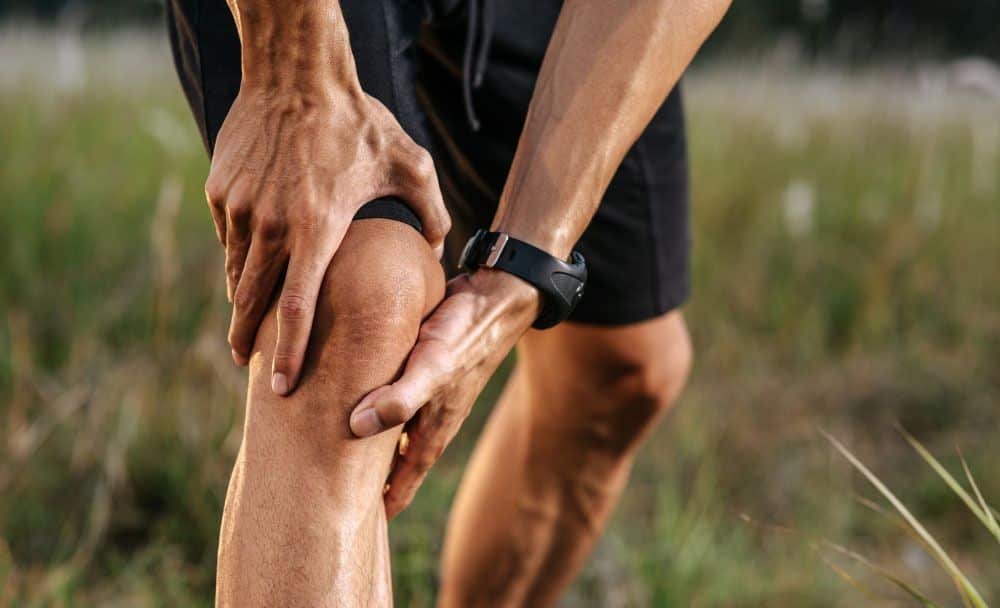 pain relief -  leech therapy benefits