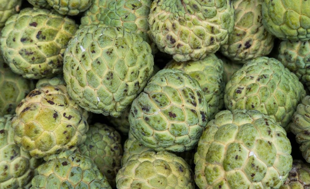 how to eat custard apple