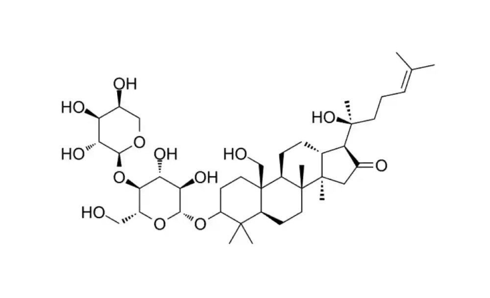 what is bacopa