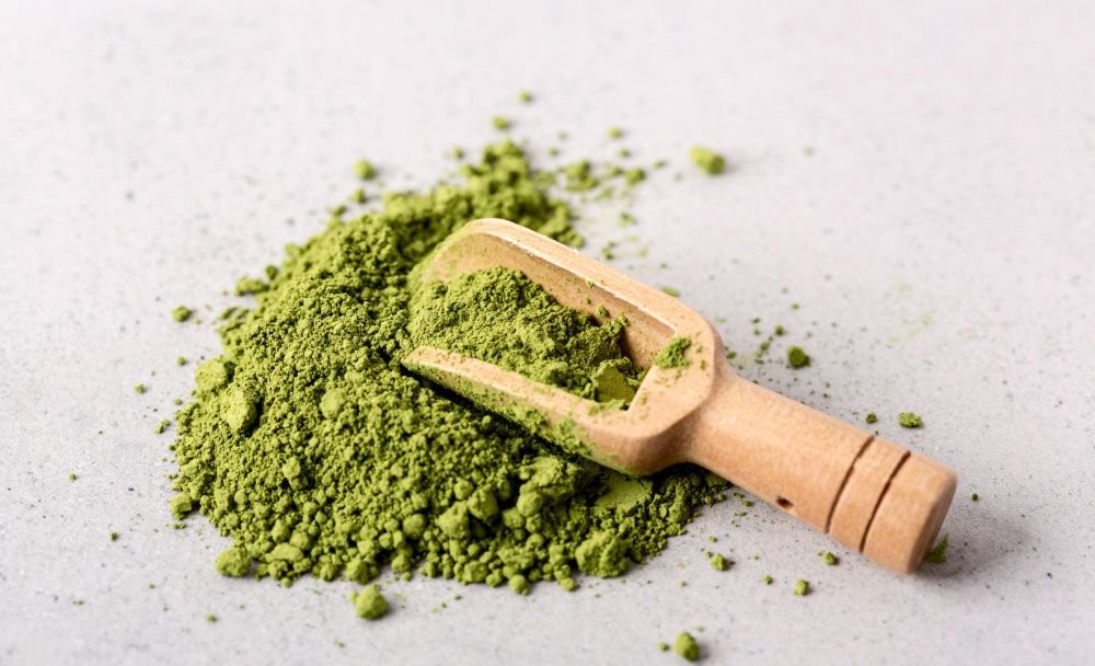 bacopa dosage