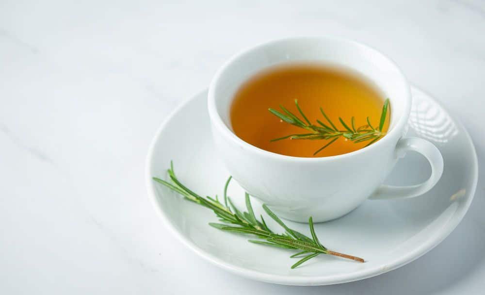 stay hydrated - home remedies for fever