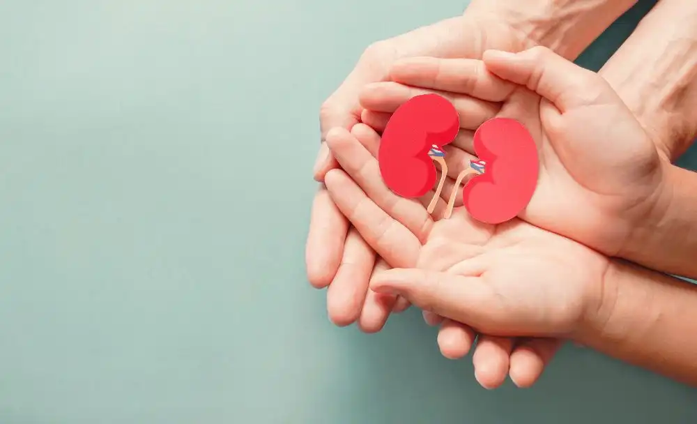 2-8 symptoms of stone in kidney