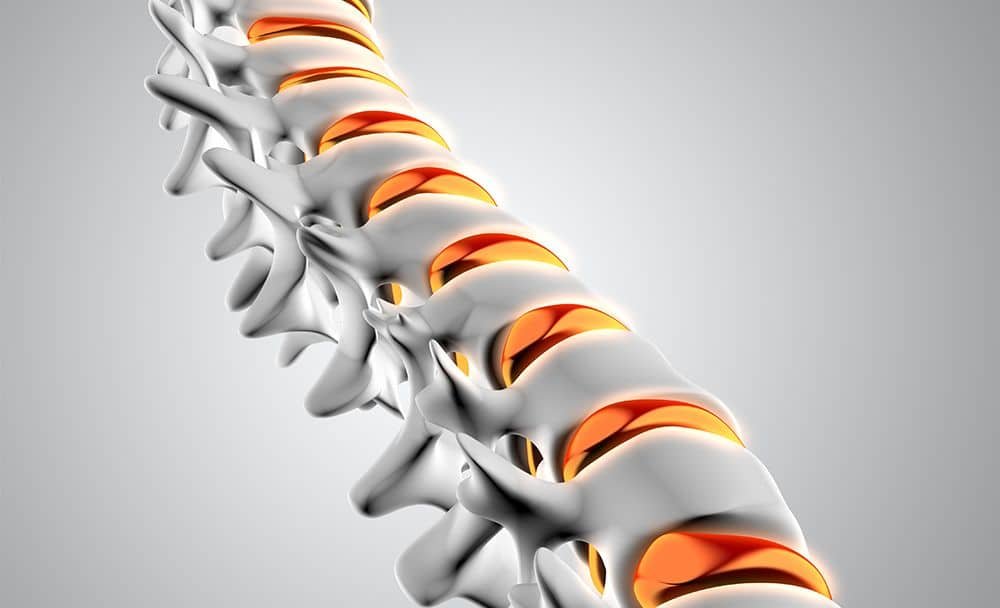 better bone health - plant based diet benefits