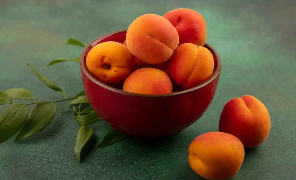 11(1) dry apricots