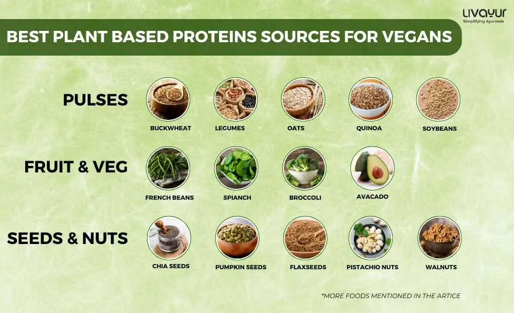 20 Best Plant Based Proteins Sources for Vegans (4)_6_11zon 20 Best Plant Based Proteins Sources for Vegans 4 6 11zon