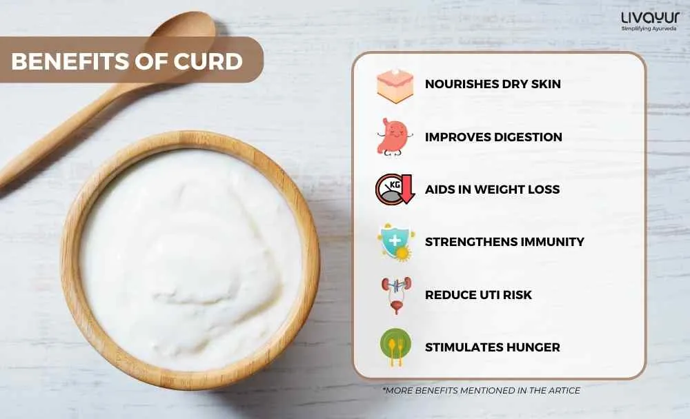20 Proven Benefits of Curd for Overall Health (2)_7_11zon 20 Proven Benefits of Curd for Overall Health 2 7 11zon