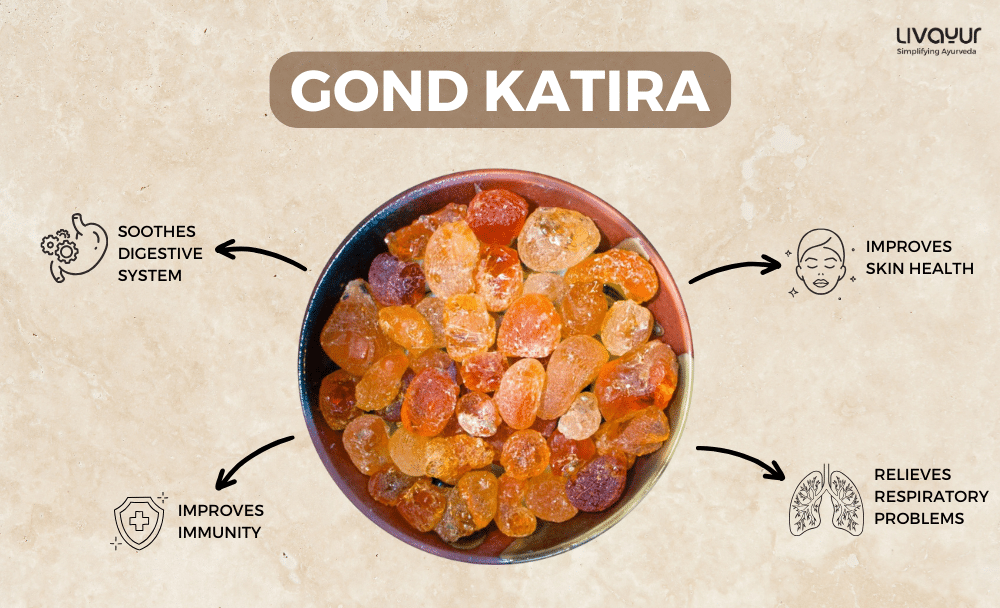 gond katira - livayur