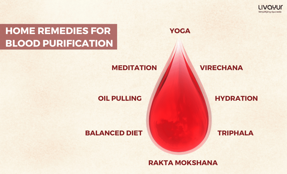 33-1000-X-608px How To Purify Your Blood