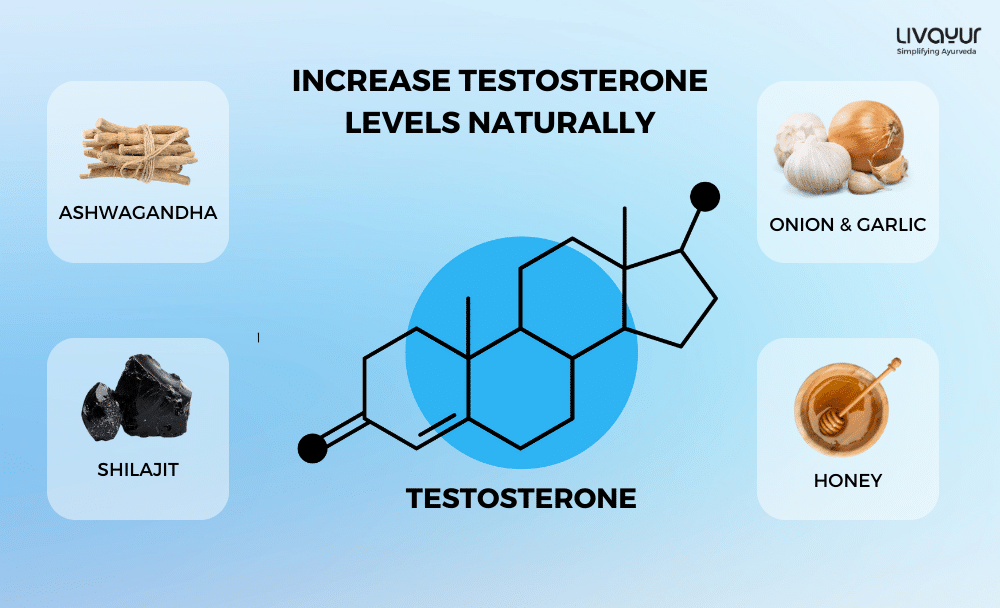 how to increase testosterone level