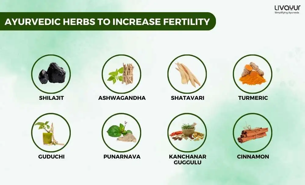Herbs That Can Increase Fertility Herbs That Can Increase Fertility