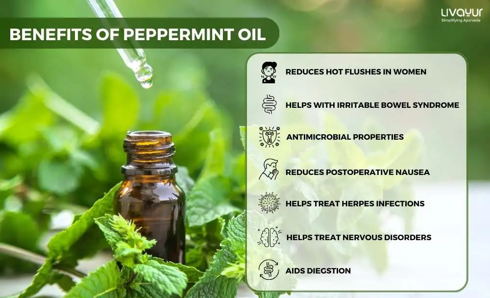 peppermint oil - livayur