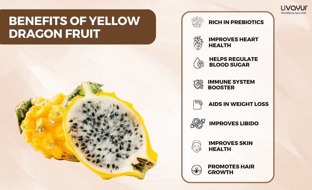 Yellow Dragon Fruit Everything You Need To Know About It Yellow Dragon Fruit Everything You Need To Know About It