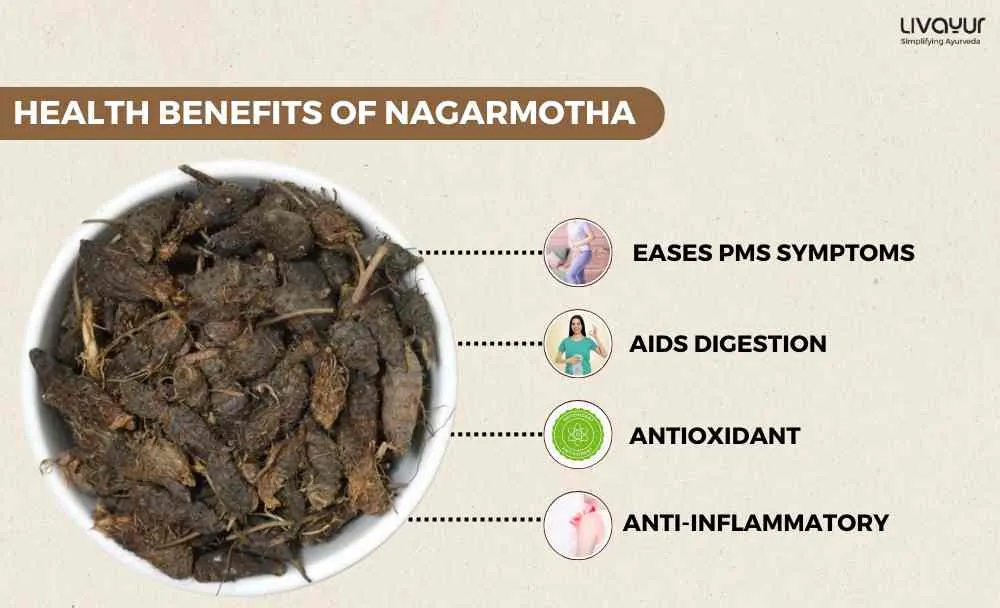 The Complete Guide to Nagarmotha Benefits, Uses, Precautions, Dosage And More (1) (1)_11zon The Complete Guide to Nagarmotha Benefits Uses Precautions Dosage And More 1 1 11zon