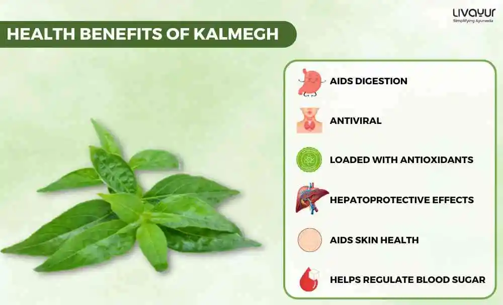 The Multiple Benefits And Uses of Kalmegh (1) The Multiple Benefits And Uses of Kalmegh 1