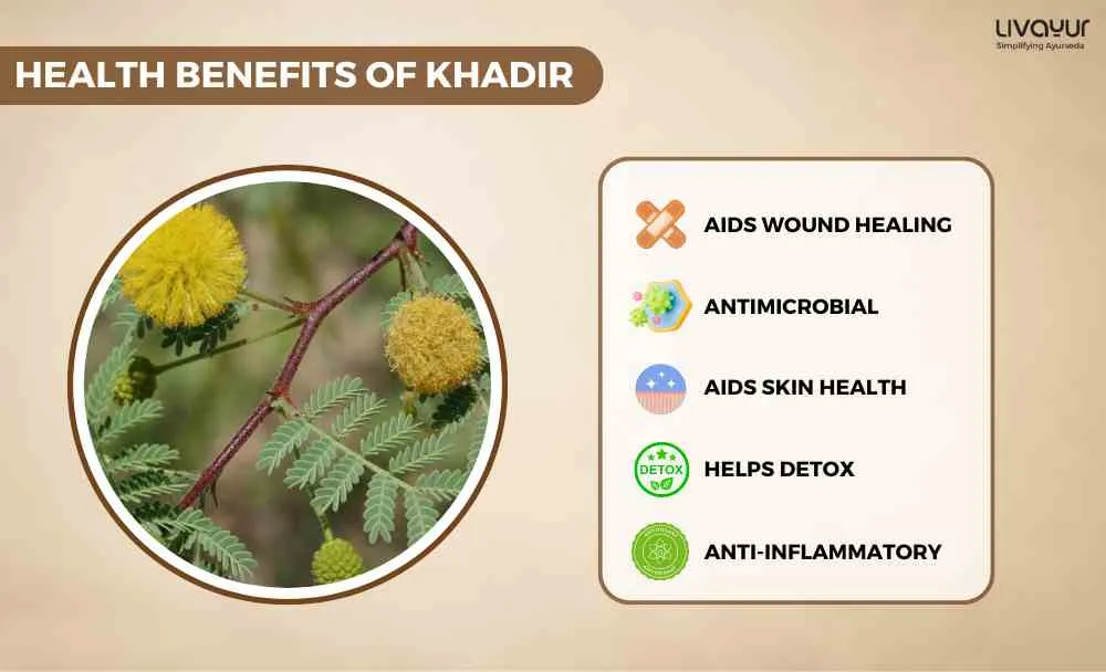 Discover The Incredible Benefits Of Khadir And Its Uses (1)_8_11zon Discover The Incredible Benefits Of Khadir And Its Uses 1 8 11zon 1