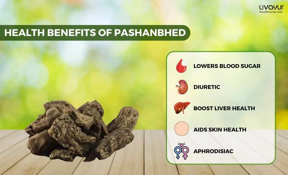 _Discover The Incredible Benefits Of Pashanbhed And Its Uses (1)_11zon Discover The Incredible Benefits Of Pashanbhed And Its Uses 1 11zon