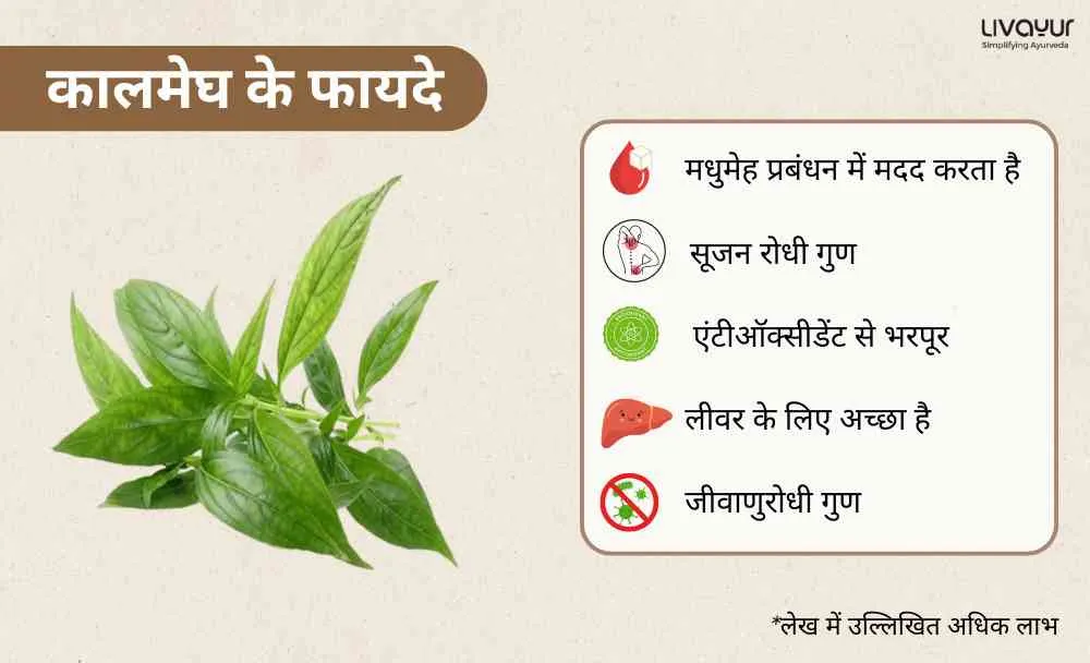 कालमेघ इस आयुर्वेदिक जड़ी बूटी के 9 बेहतरीन फायदे (1) कालमेघ इस आयुर्वेदिक जड़ी बूटी के 9 बेहतरीन फायदे 1