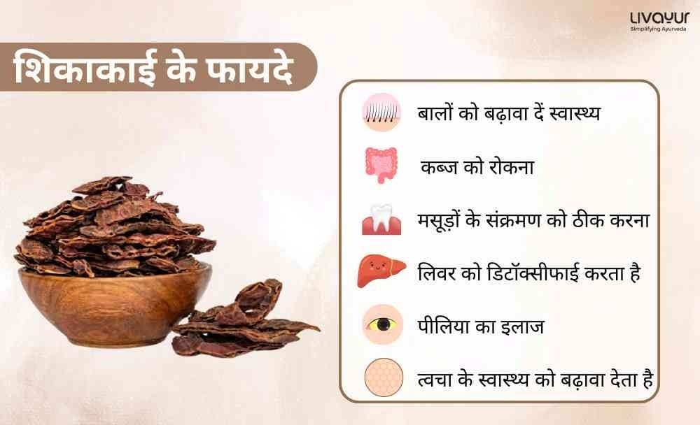 जानिए शिकाकाई के बेहतरीन फायदे और इसके उपयोग (1) जानिए शिकाकाई के बेहतरीन फायदे और इसके उपयोग 1